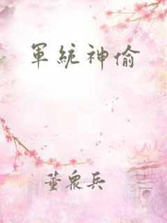 军统神偷