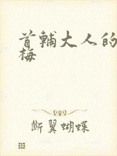 首辅大人的小青梅