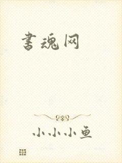 书魂网