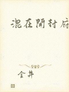 混在开封府