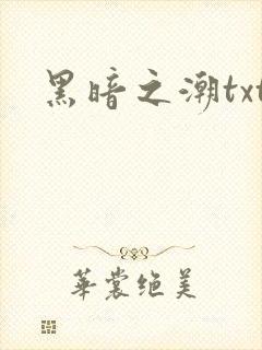 黑暗之潮txt