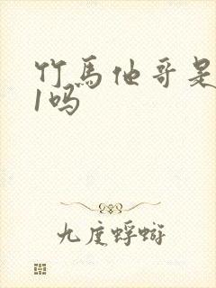 竹马他哥是1v1吗