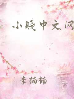 小贱中文网