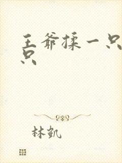 王爷揉一只舔一只