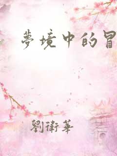 梦境中的冒险家