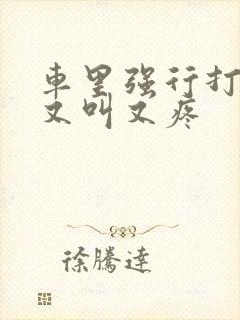 车里强行打扑克又叫又疼