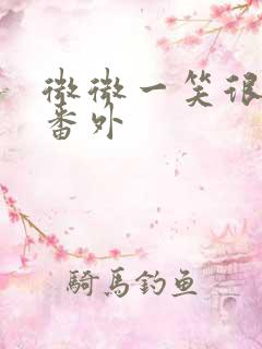 微微一笑很倾城番外