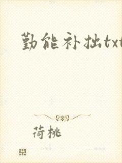 勤能补拙txt