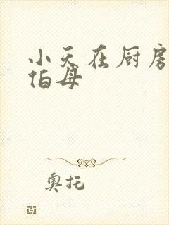 小天在厨房插杨伯母