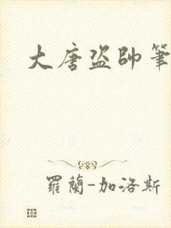 大唐盗帅笔趣阁