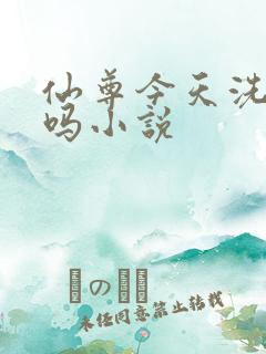 仙尊今天洗白了吗小说