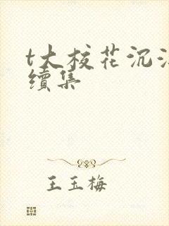 t大校花沉浮录续集