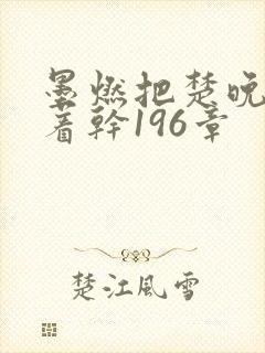 墨燃把楚晚宁按着干196章