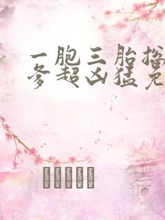 一胞三胎总裁爹爹超凶猛免费阅读