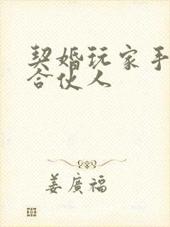 契婚玩家手册之合伙人