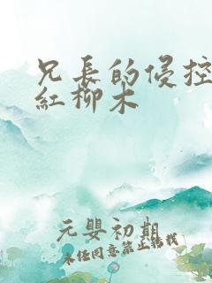 兄长的侵控by红柳木