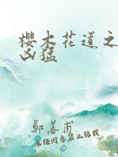 樱木花道之重生凶猛