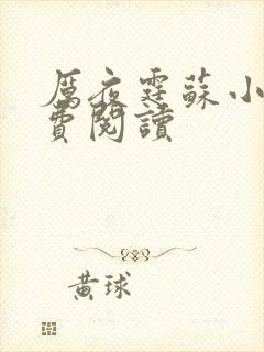 厉夜霆苏小汐免费阅读