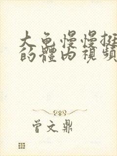 大龟慢慢挺进我的体内视频