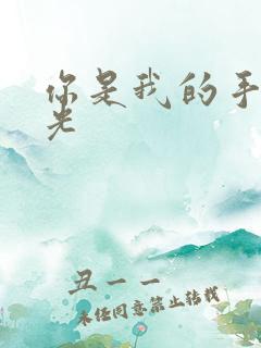 你是我的手冢国光