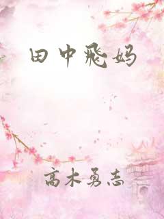 田中飞妈