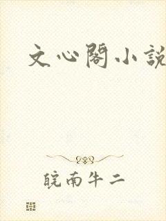 文心阁小说