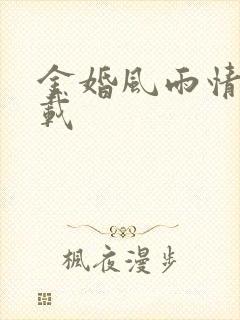 金婚风雨情 下载