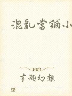 混乱当铺小说