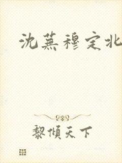 沈芜穆定北小说