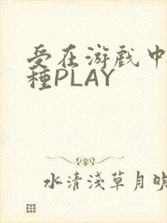 受在游戏中被各种PLAY