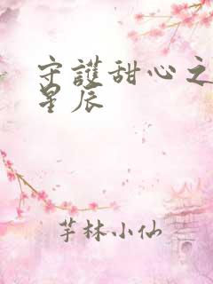 守护甜心之暗夜星辰