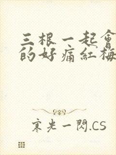 三根一起会坏掉的好痛红梅