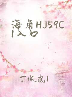 海角HJ59C1入口