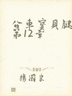 公车宝贝腿开点第12章