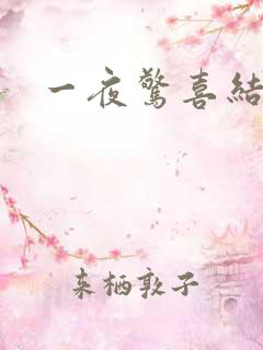 一夜惊喜结局
