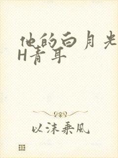他的白月光HVH青耳