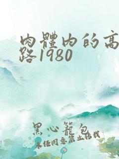 肉体内的高速公路1980
