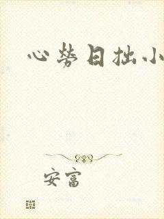 心劳日拙小说