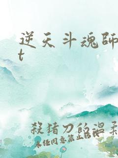 逆天斗魂师txt