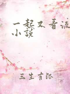 一起又看流星雨小说