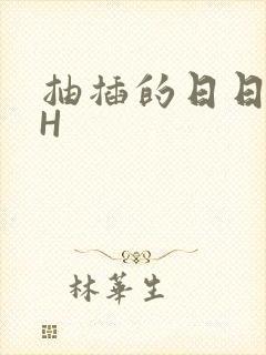 抽插的日日液液H