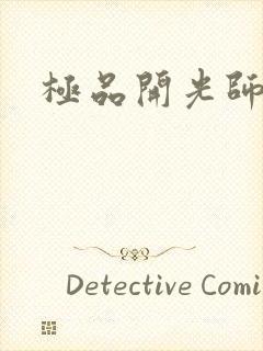 极品开光师阅读