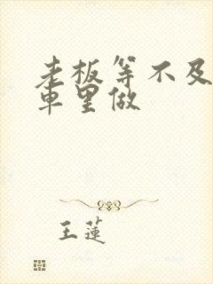 老板等不及了在车里做