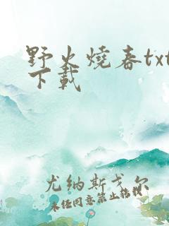 野火烧春txt下载