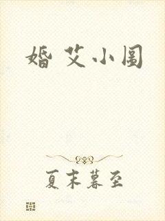 婚 艾小图