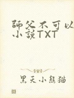 师父不可以灵犀小说TXT