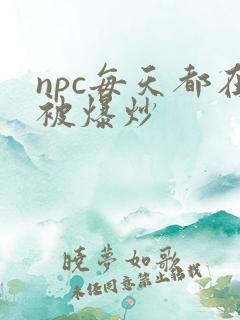 npc每天都在被爆炒