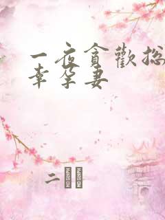 一夜贪欢总裁的幸孕妻