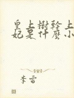 皇上树干上太子妃是什么小说