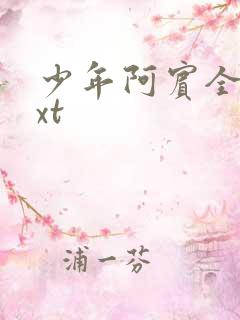 少年阿宾全集txt